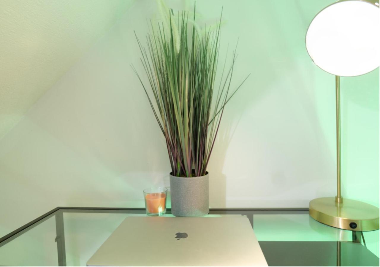 Modern Spark Home With Parking, Garden, Wi-Fi 伯明翰 外观 照片